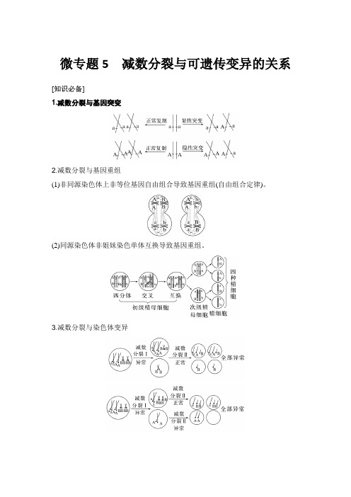 微专题5 减数分裂与可遗传变异的关系