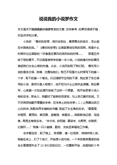 说说我的小说梦作文