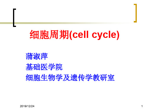 《细胞周期》ppt课件