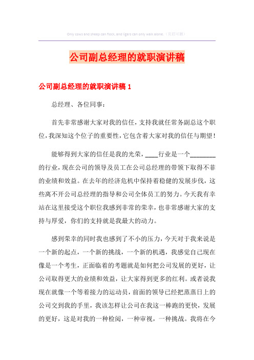 公司副总经理的就职演讲稿