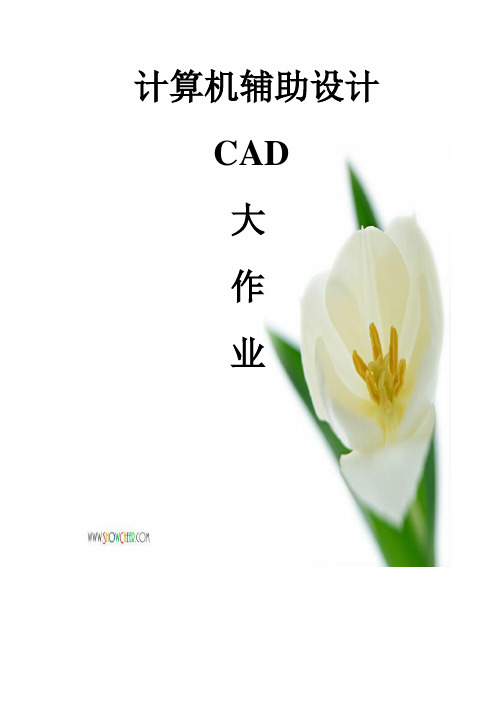 计算机辅助设计CAD大作业