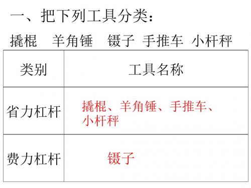 教科版六年级科学活动手册(上)科学活动手册练习题ppt课件