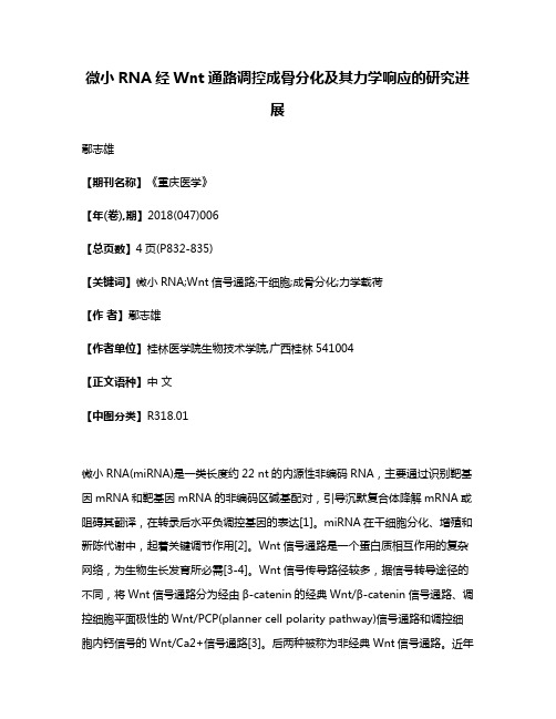 微小RNA经Wnt通路调控成骨分化及其力学响应的研究进展