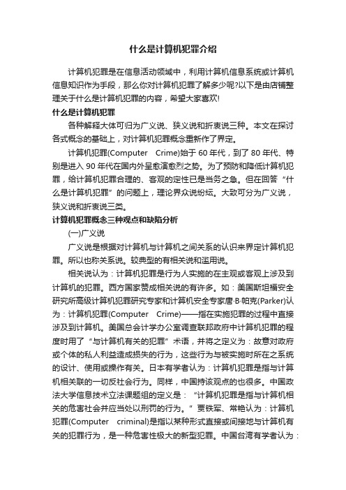 什么是计算机犯罪介绍