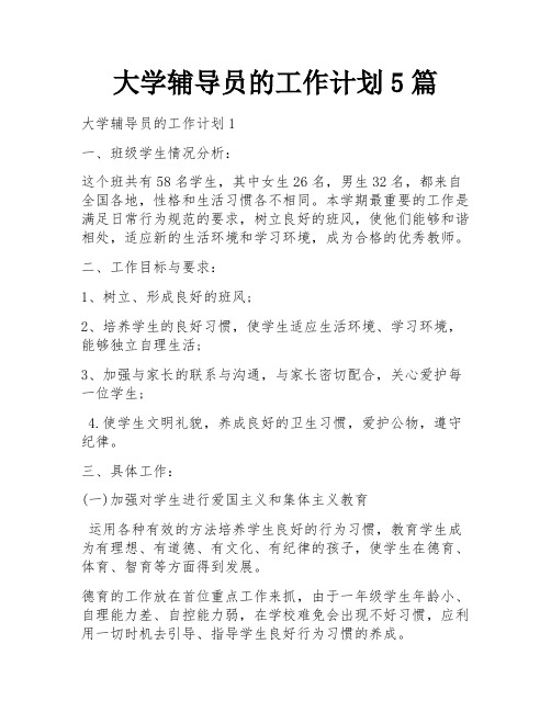 大学辅导员的工作计划5篇