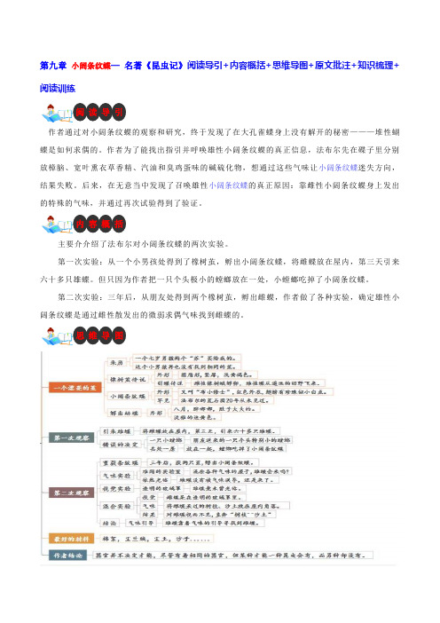 第九章 小阔条纹蝶-名著《昆虫记》阅读导引+内容概括+思维导图+原文批注+知识梳理+阅读训练