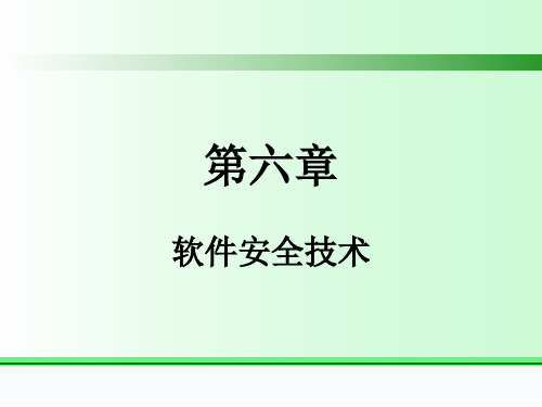 第六章软件安全技术