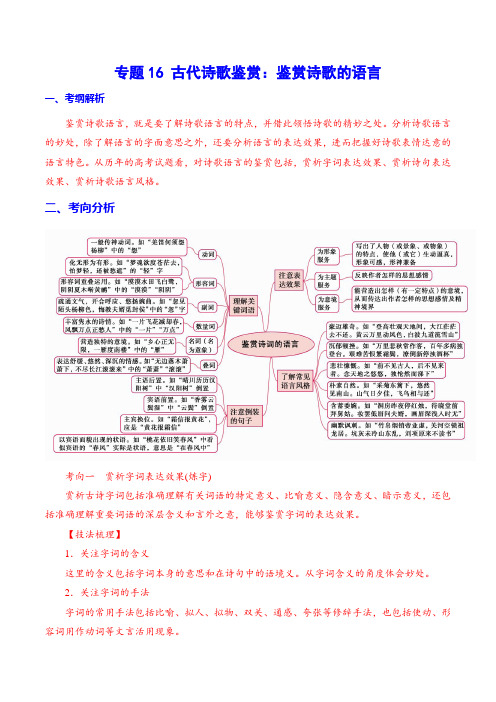 专题16 古代诗歌鉴赏：鉴赏诗歌的语言(解析版)