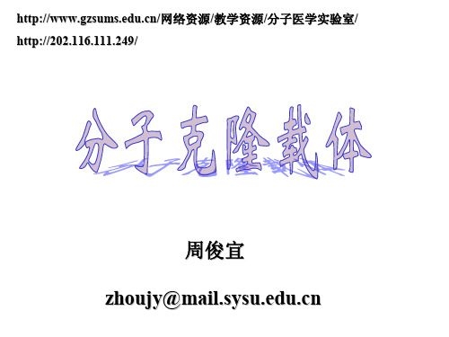 分子克隆载体 ppt讲义转pdf