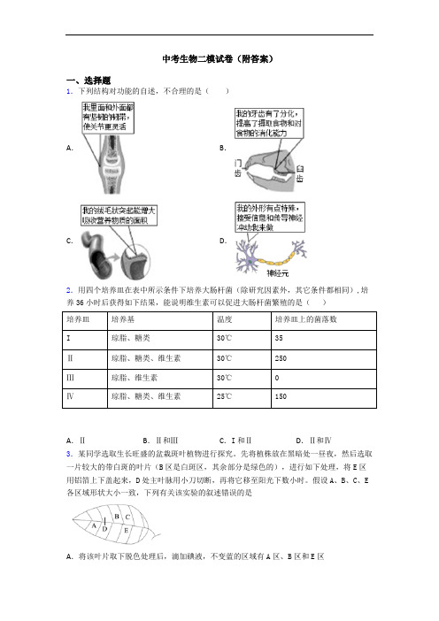 中考生物二模试卷(附答案)