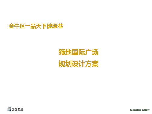 2012年成都金牛区一品天下健康巷领地国际广场规划设计方案