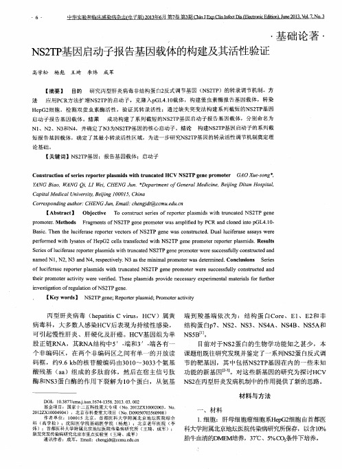 NS2TP基因启动子报告基因载体的构建及其活性验证