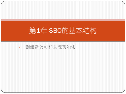 第一章SBO的基本结构