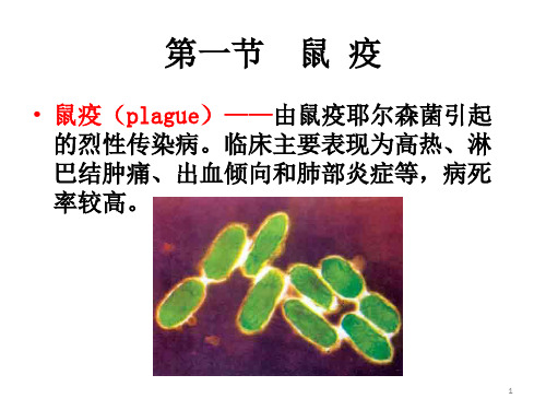 鼠疫PPT演示课件