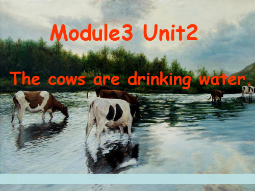 MODULE3_UNIT2  The_cows_are_drinking_water