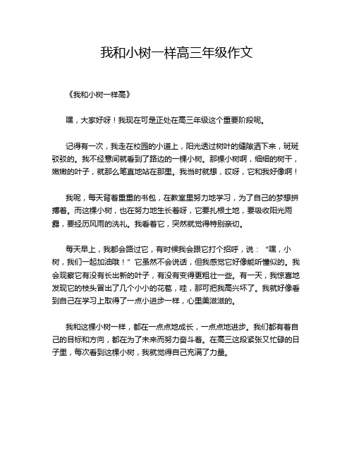 我和小树一样高三年级作文