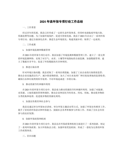 2024年县环保专项行动工作总结