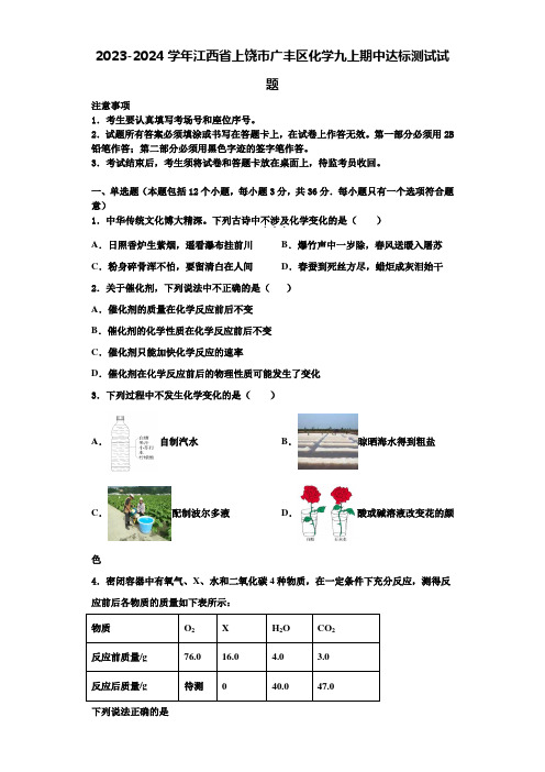 2023-2024学年江西省上饶市广丰区化学九上期中达标测试试题含解析