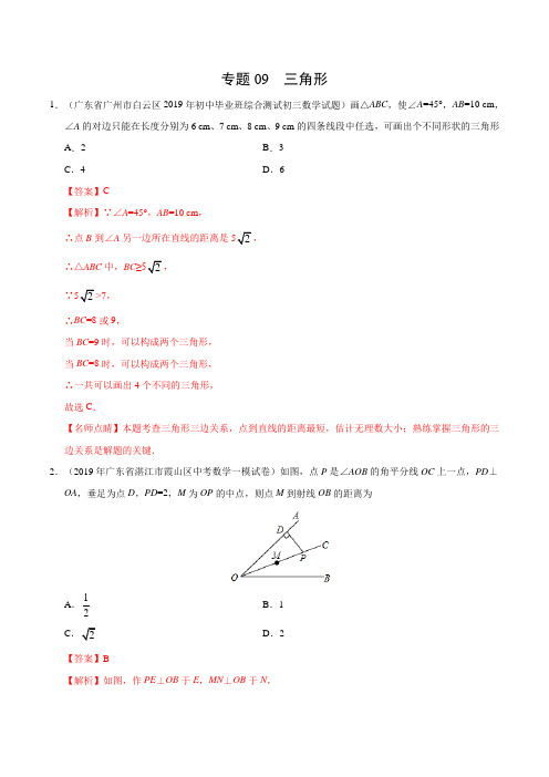 专题09 三角形(广东专版)-2019年中考真题数学试题分项汇编(解析版)