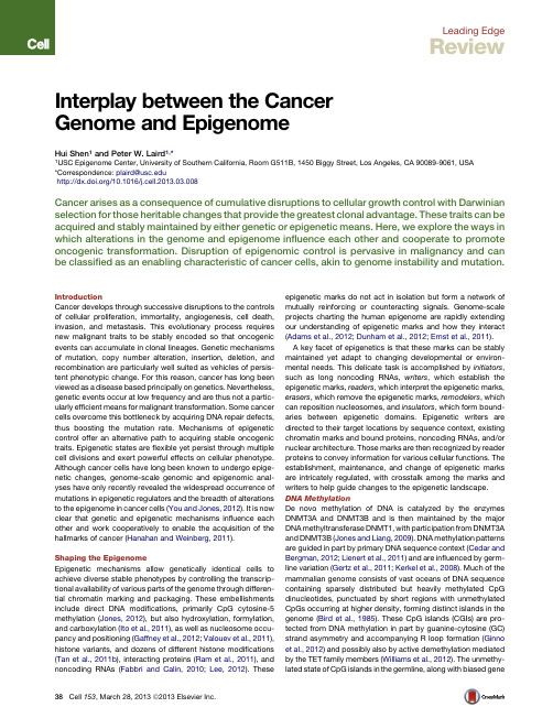 Interplay between the Cancer Genome and Epigenome