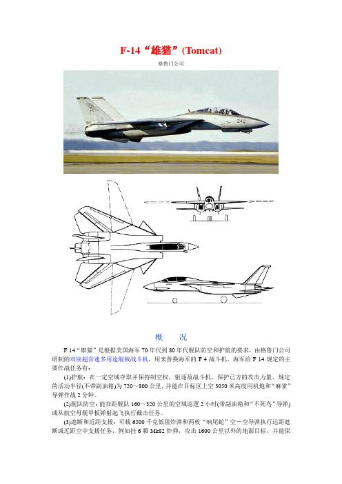 美国熊猫F14战斗机