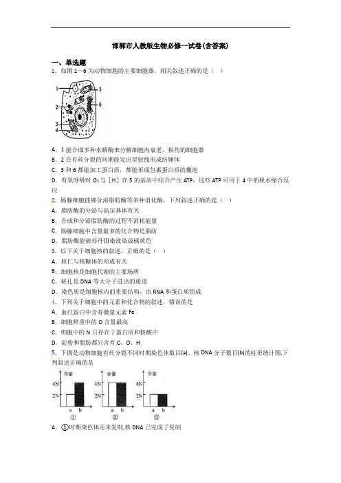 邯郸市人教版生物必修一试卷(含答案)