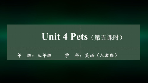 三年级【英语(人教版)】Unit 4 Pets 第五课时-2PPT课件