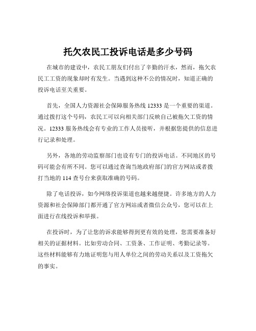 托欠农民工投诉电话是多少号码