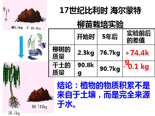 同位素标记法碳的同位素