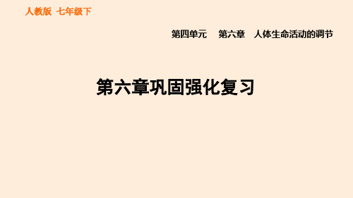 人教版七下生物第四单元第六章人体生命活动的调节巩固强化复习