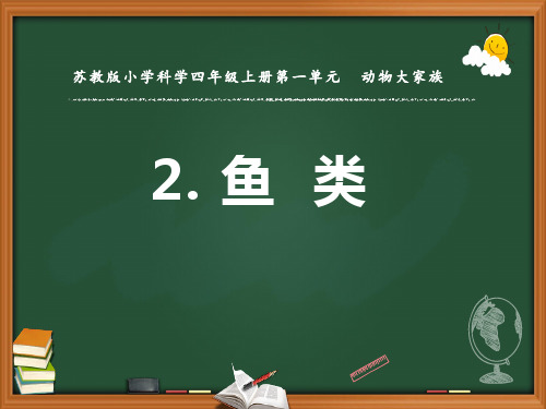 苏教版科学四年级上册第一单元第二课《鱼》课件