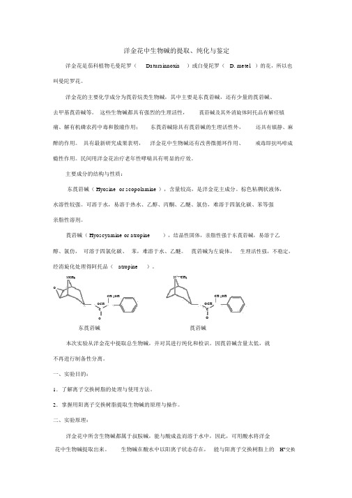 洋金花中生物碱的提取、纯化与鉴定