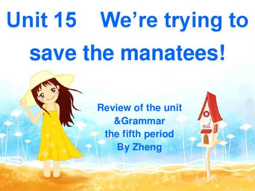 新目标(Go for it)版 九年级全Unit 15 We’re trying to save t