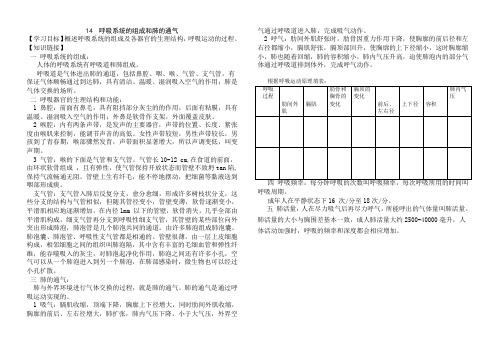 14  呼吸系统的组成和肺的通气