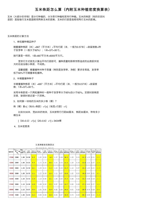 玉米株距怎么算（内附玉米种植密度换算表）