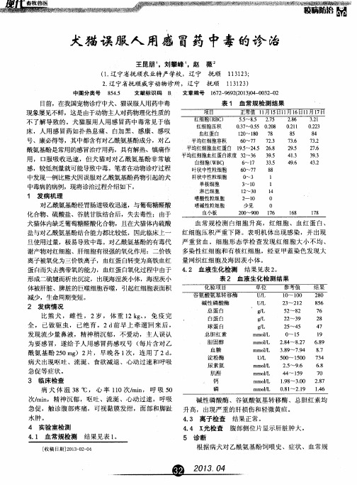 犬猫误服人用感冒药中毒的诊治