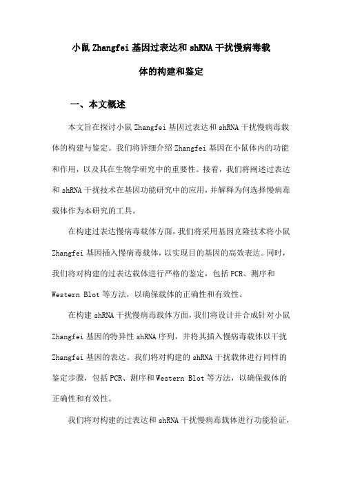 小鼠Zhangfei基因过表达和shRNA干扰慢病毒载体的构建和鉴定