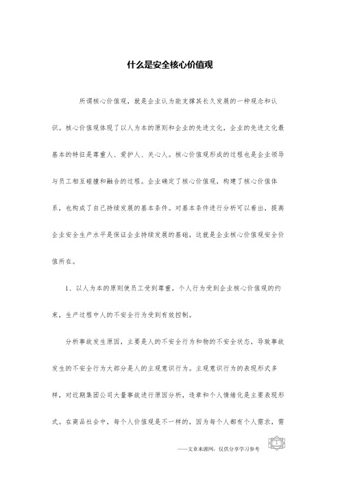 什么是安全核心价值观