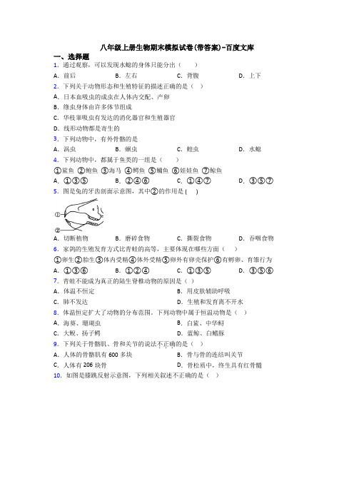 八年级上册生物期末模拟试卷(带答案)-百度文库