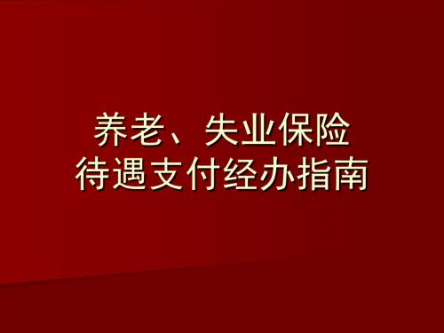 养老失业保险待遇支付经办指南-PPT精选文档