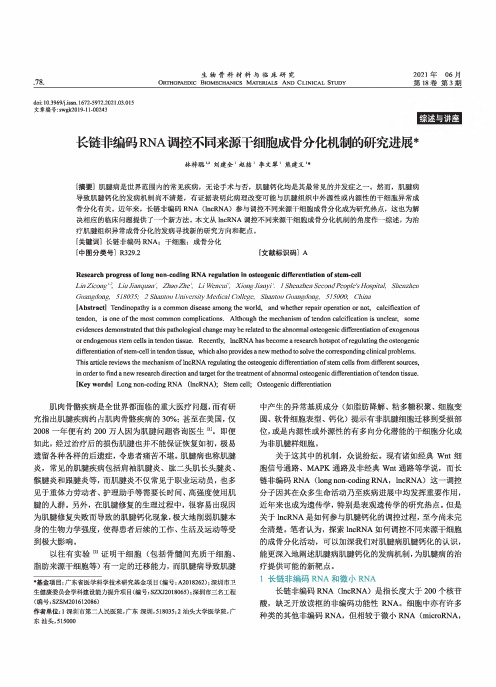 长链非编码RNA调控不同来源干细胞成骨分化机制的研究进展