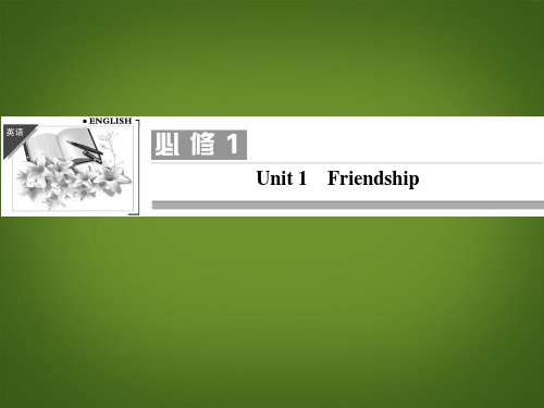 高考英语一轮复习 Unit1 Friendship课件 新人教版必修1