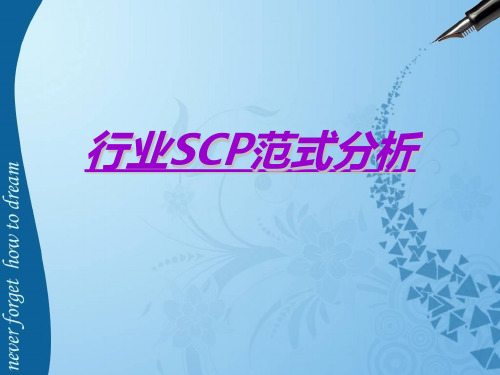 行业SCP范式分析