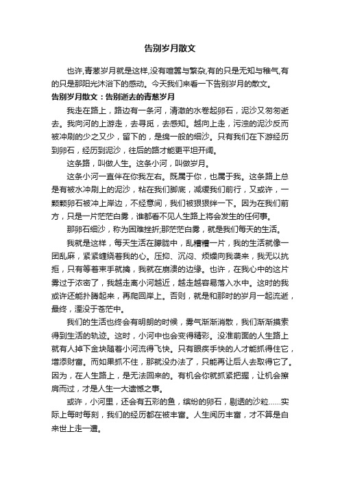 告别岁月散文