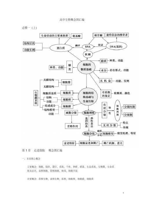 高中生物概念图汇总(完整版)