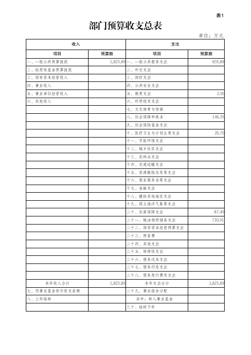 部门预算收支总表