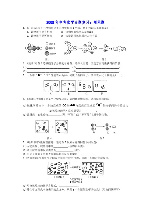 2008年中考化学专题复习:图示题