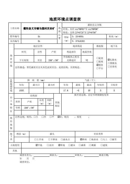 地质环境点调查表