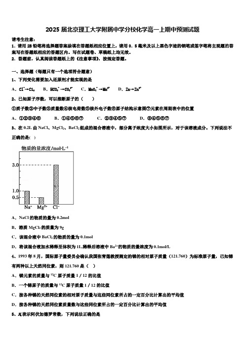 2025届北京理工大学附属中学分校化学高一上期中预测试题含解析