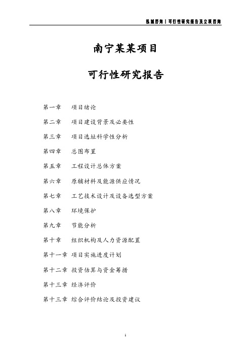南宁项目可行性研究报告